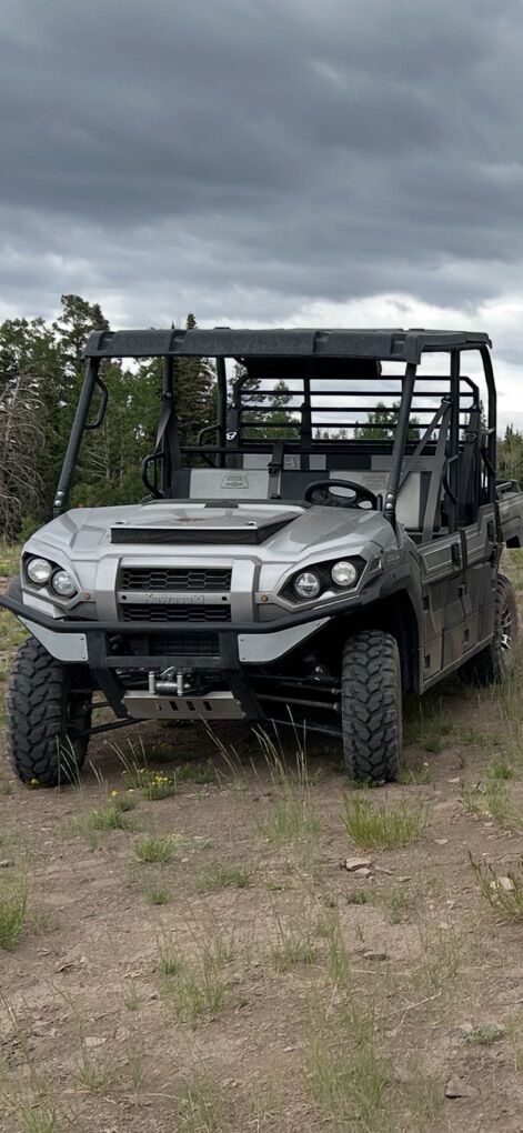 2020 Kawasaki Mule pro