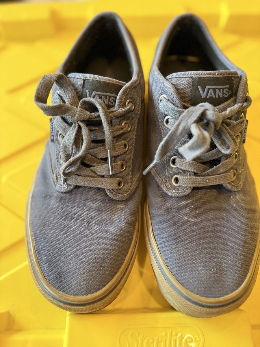 Vans Atwood Canvas Skate Shoes