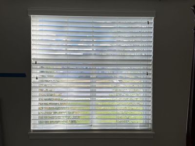2.5 Inch Blinds