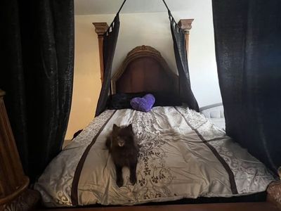 Queen Size Canopy Bed Frame