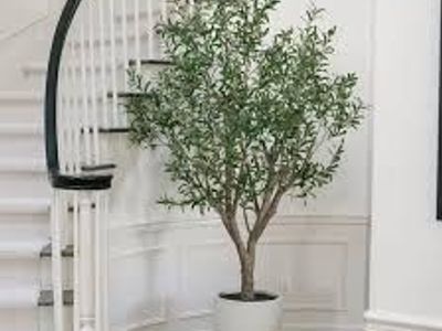 Faux 8' OLV-25054PC Olive Tree 1812703 #105625