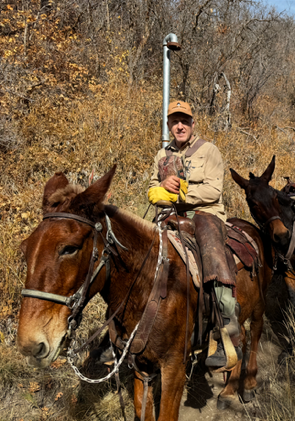 Riding Molly mule