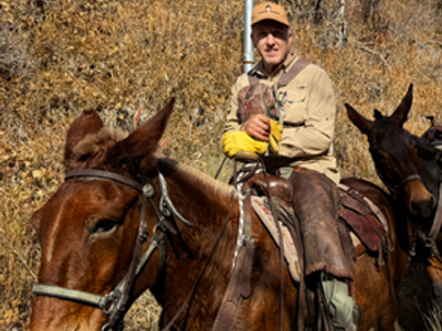 Riding Molly mule