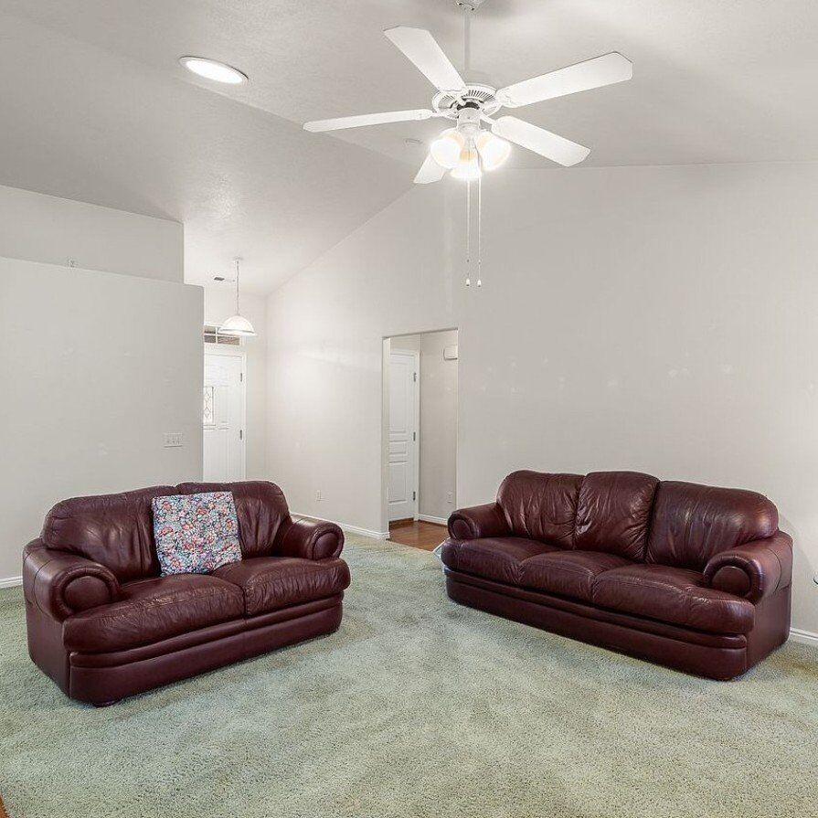 Sofa and Love Seat Leather