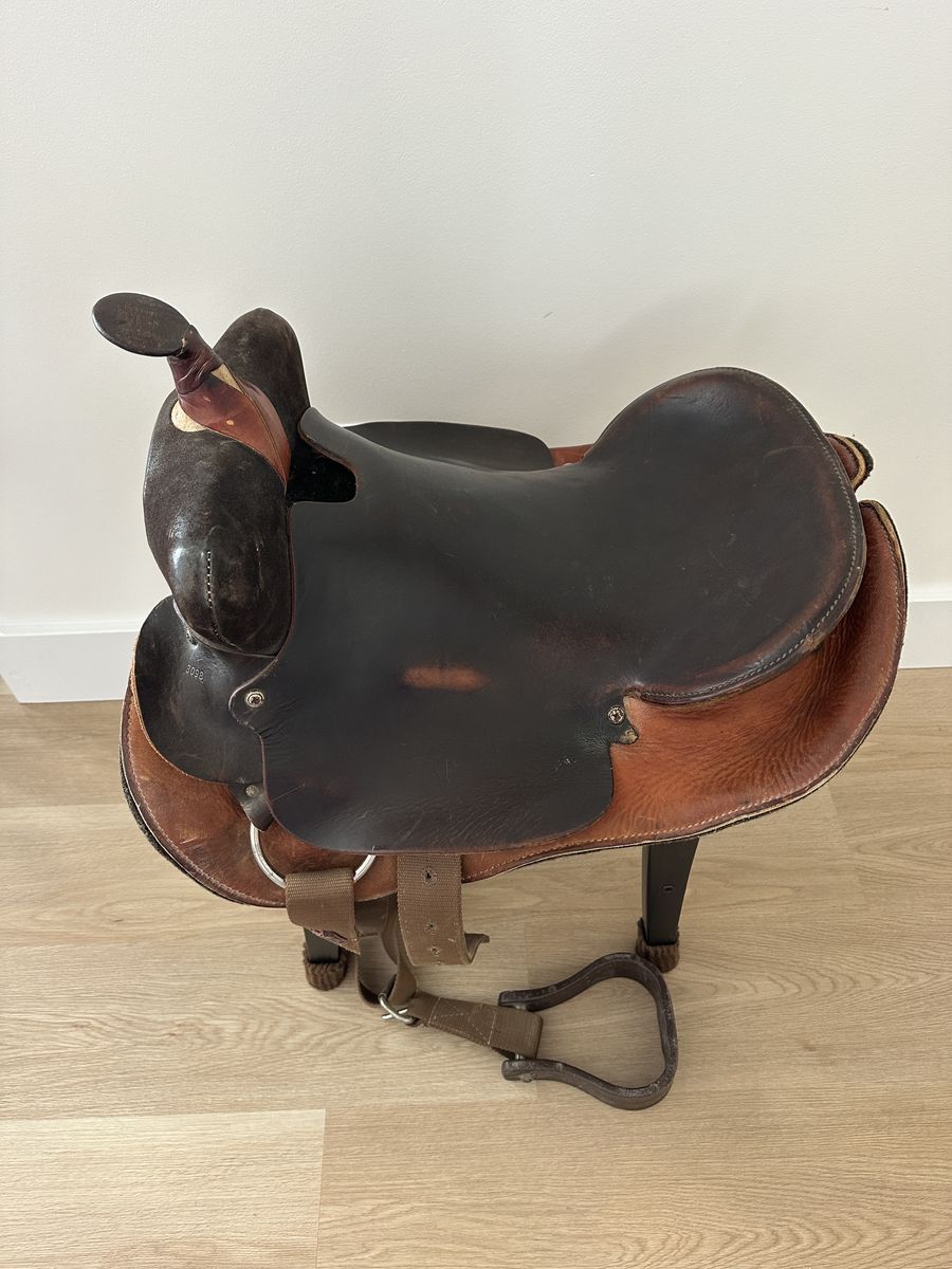 Nice Horse Saddle