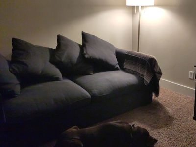 IKEA Harlanda Sleeper Loveseat