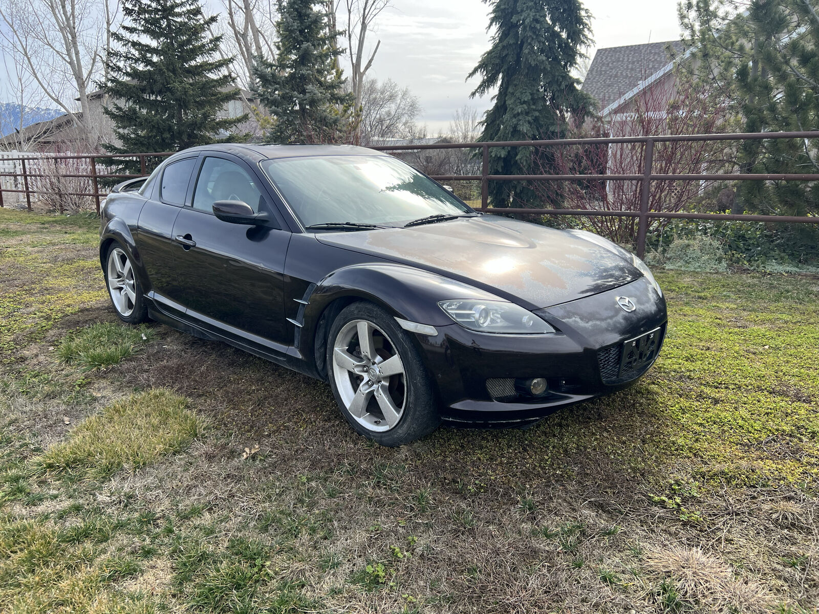 2005 MAZDA RX8 Shinka Special Edition