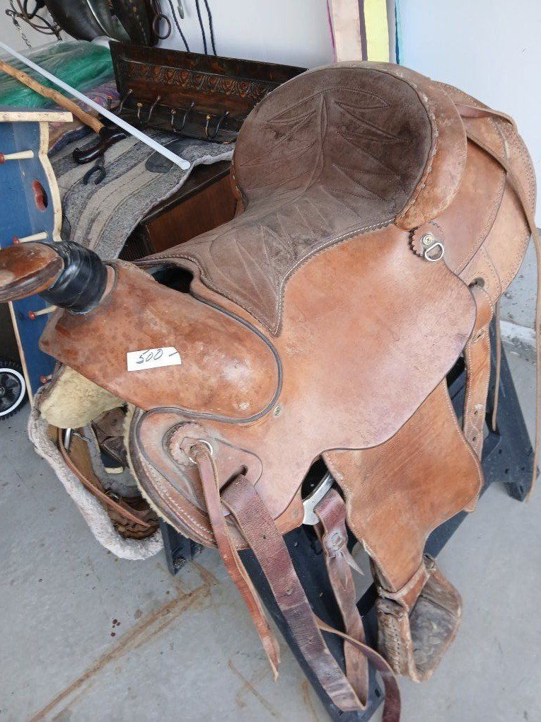 16" saddle