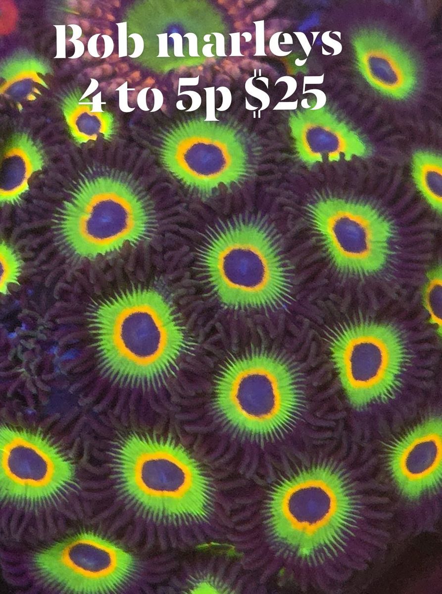 Main image 2