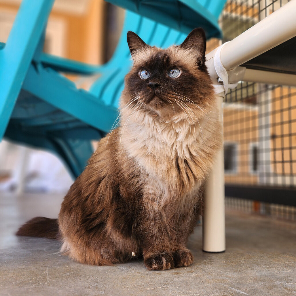 Hello my name is Olsen