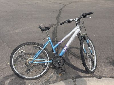 Mountain Bike
