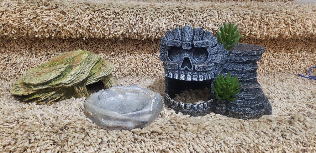 Zoo med Doudle dome light and decor