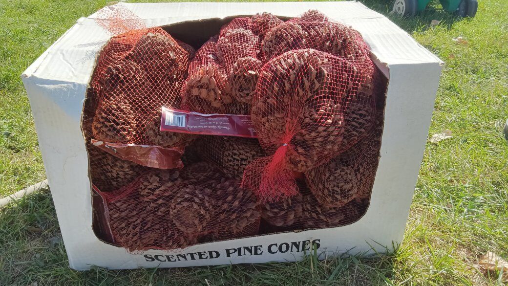 Scented Pine Cones Holiday Cinnamon Christmas Tree Decor