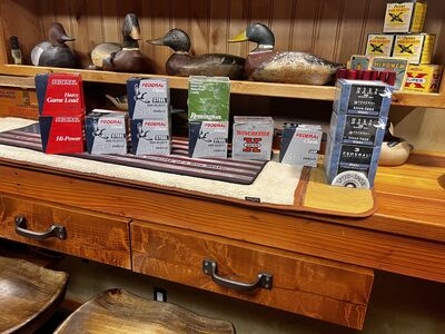 10 Ga-12 GA SHOTGUN SHELLS