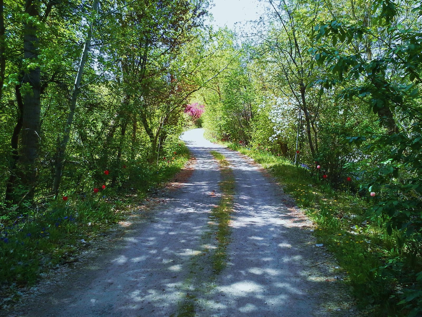 Quiet Room for Rent for Responsible Male