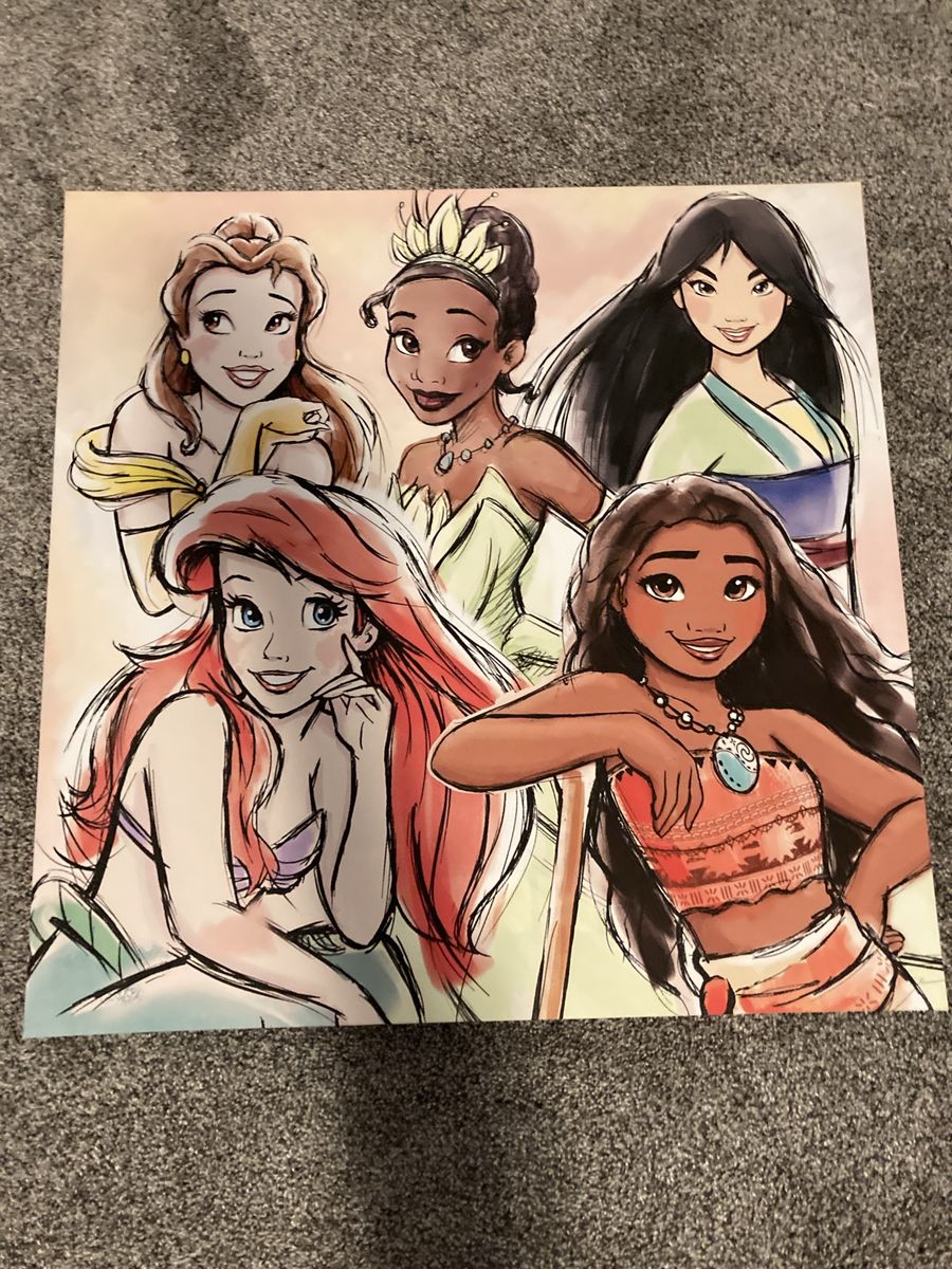 Disney Princess Canvas