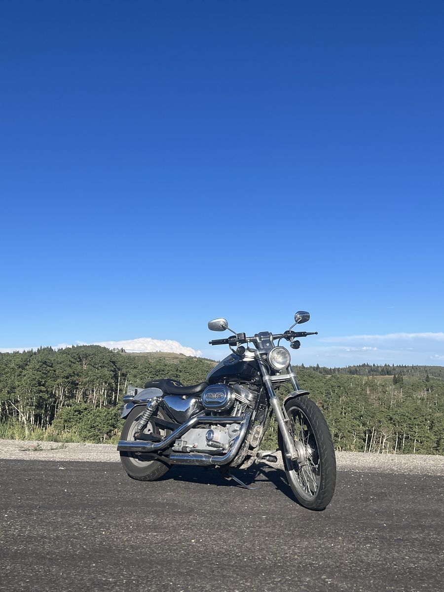 2003 Harley-Davidson Sportster 883 100th Anniversary Edition Motorcycle