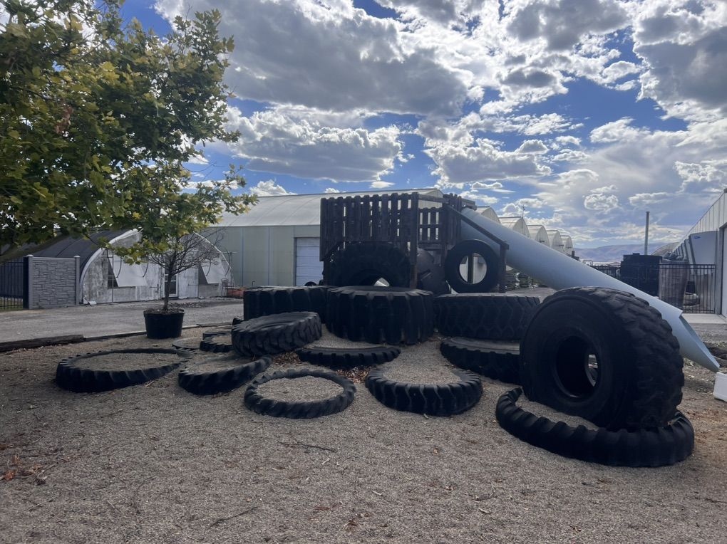 Giant Tires!! Free!!