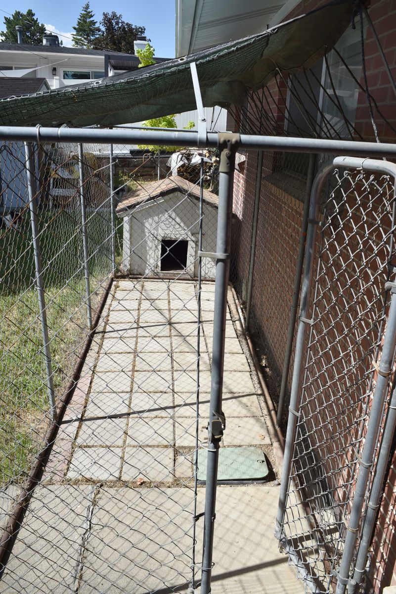 Main image 4