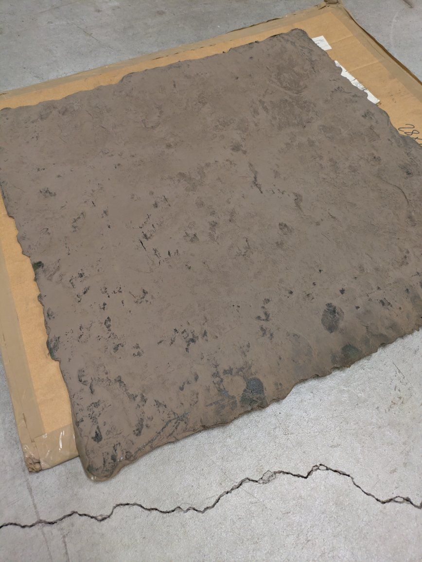 Main image 2