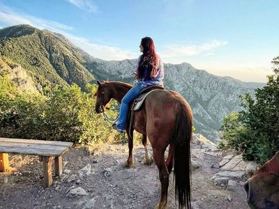 13yr old Mustang Gelding