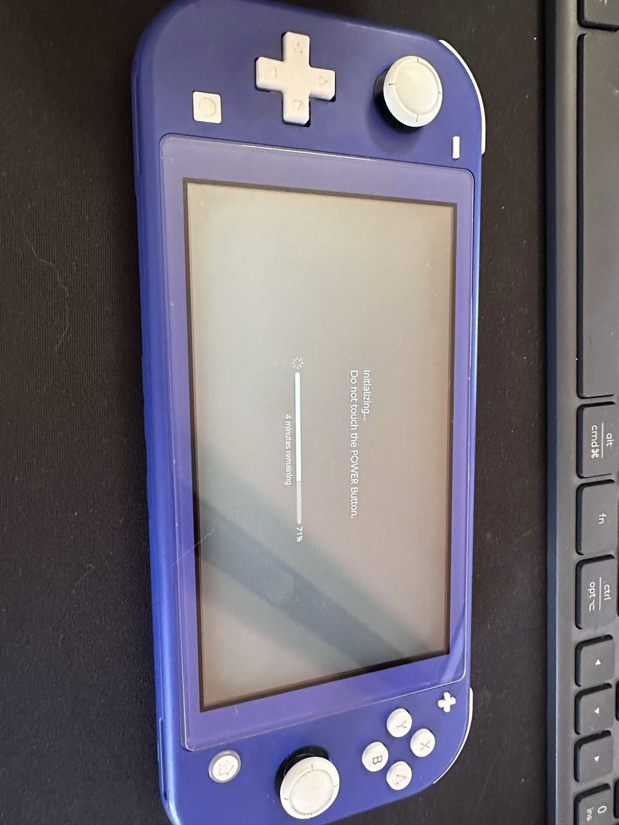 Nintendo switch lite