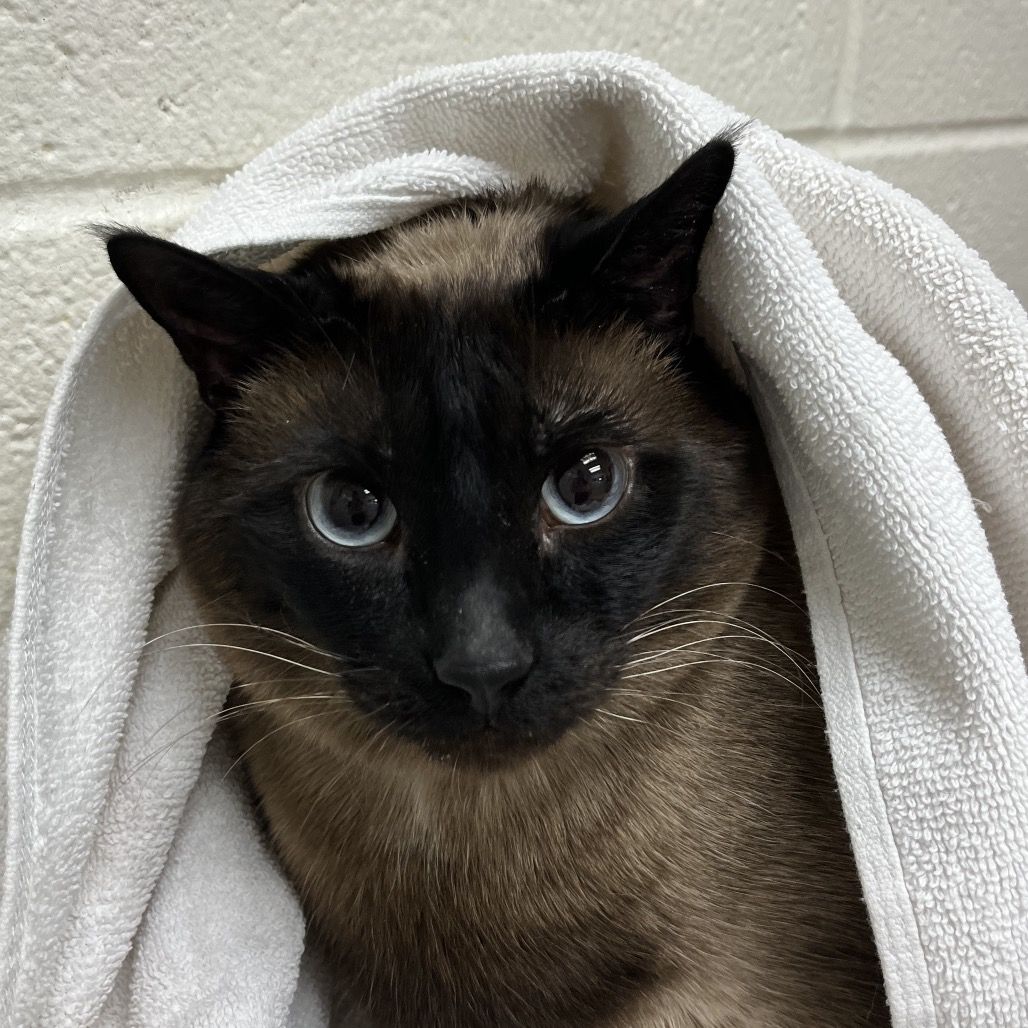 Hello my name is Cash
