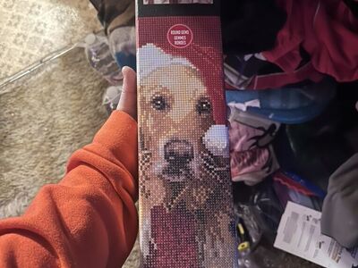 Raised Dog Bed And DIamond Dot Of A Dog