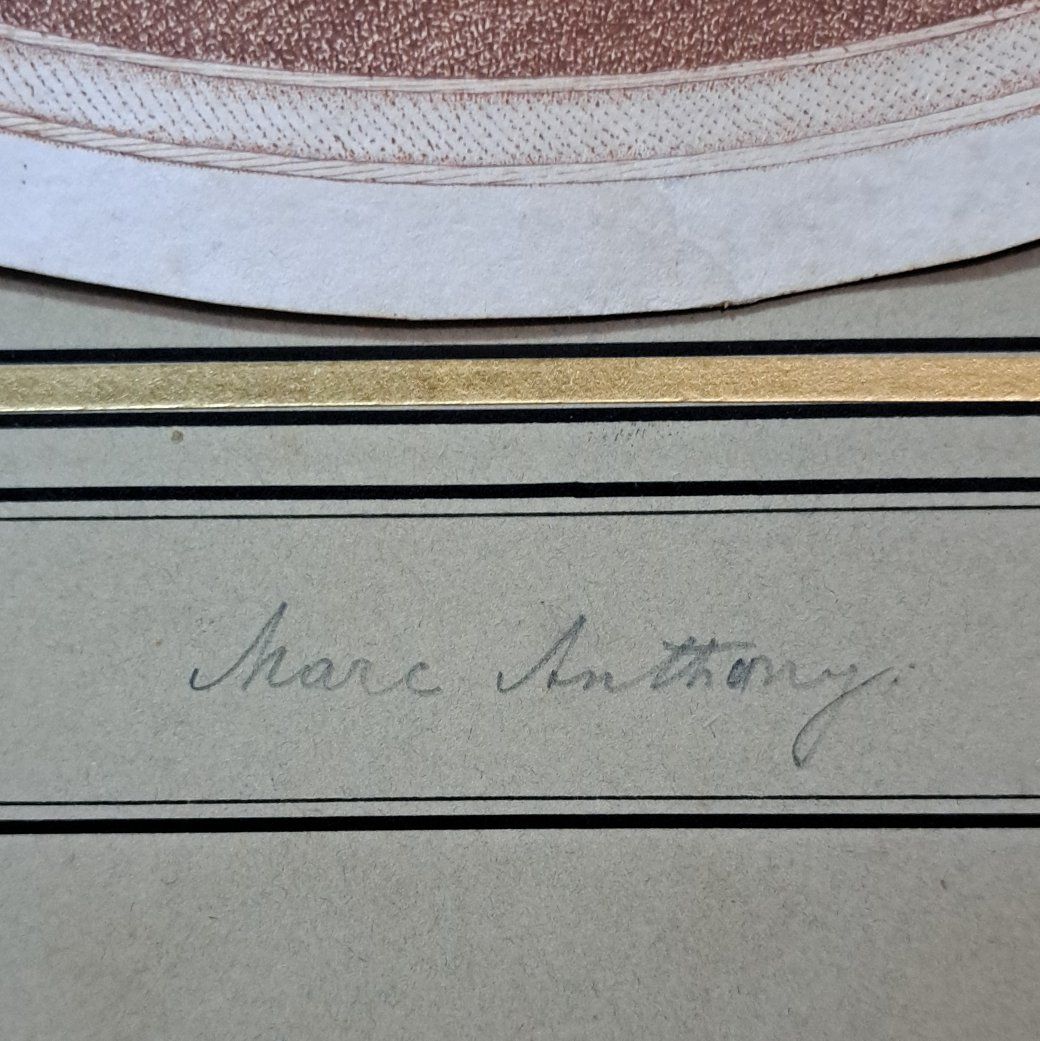 Main image 7