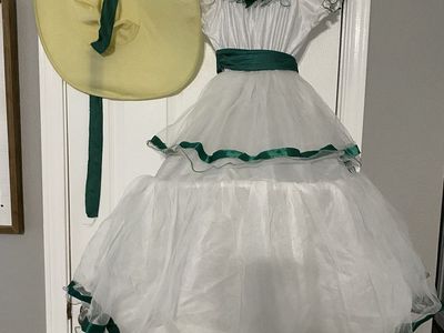 Southern Belle Toddler Kids Halloween Dress Costume