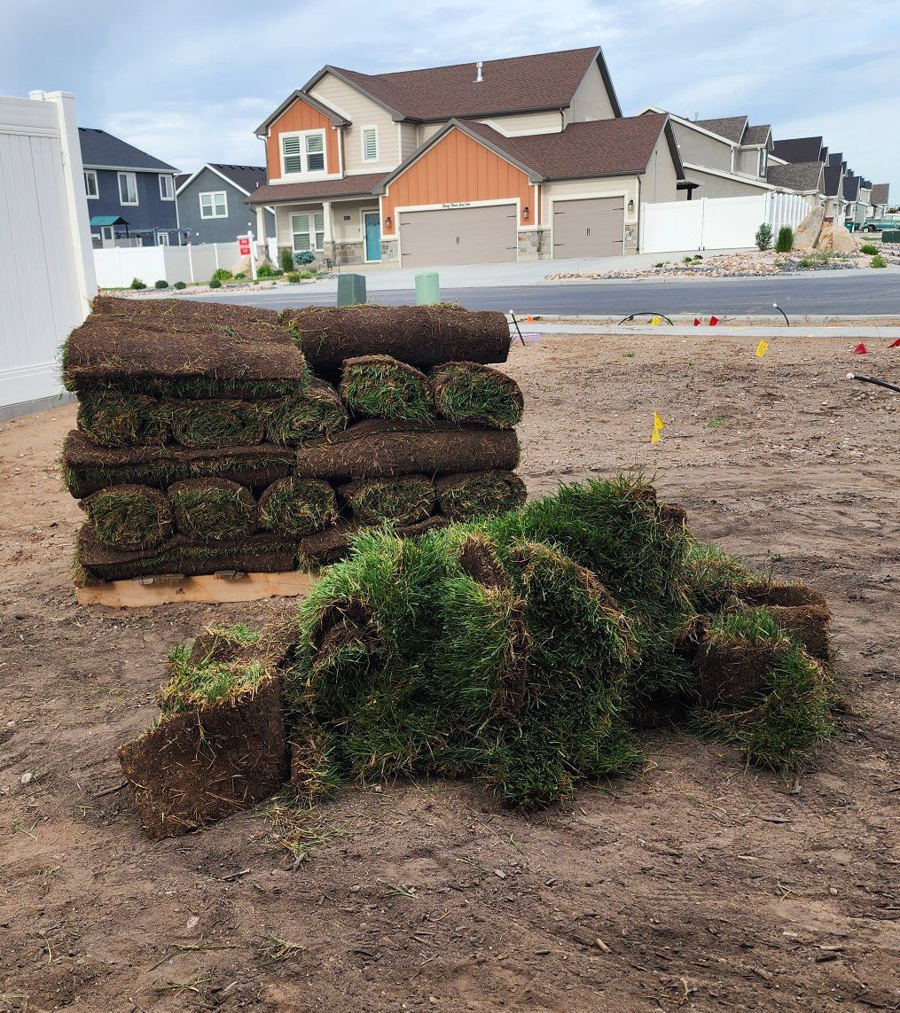 Sod for sale. Pick up required. Pallet not included. approx 250 sqare feet.