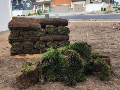 Sod for sale. Pick up required. Pallet not included. approx 250 sqare feet.