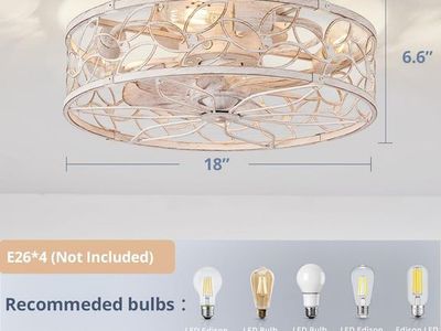 LEDIARY Caged Ceiling Fans with Lights