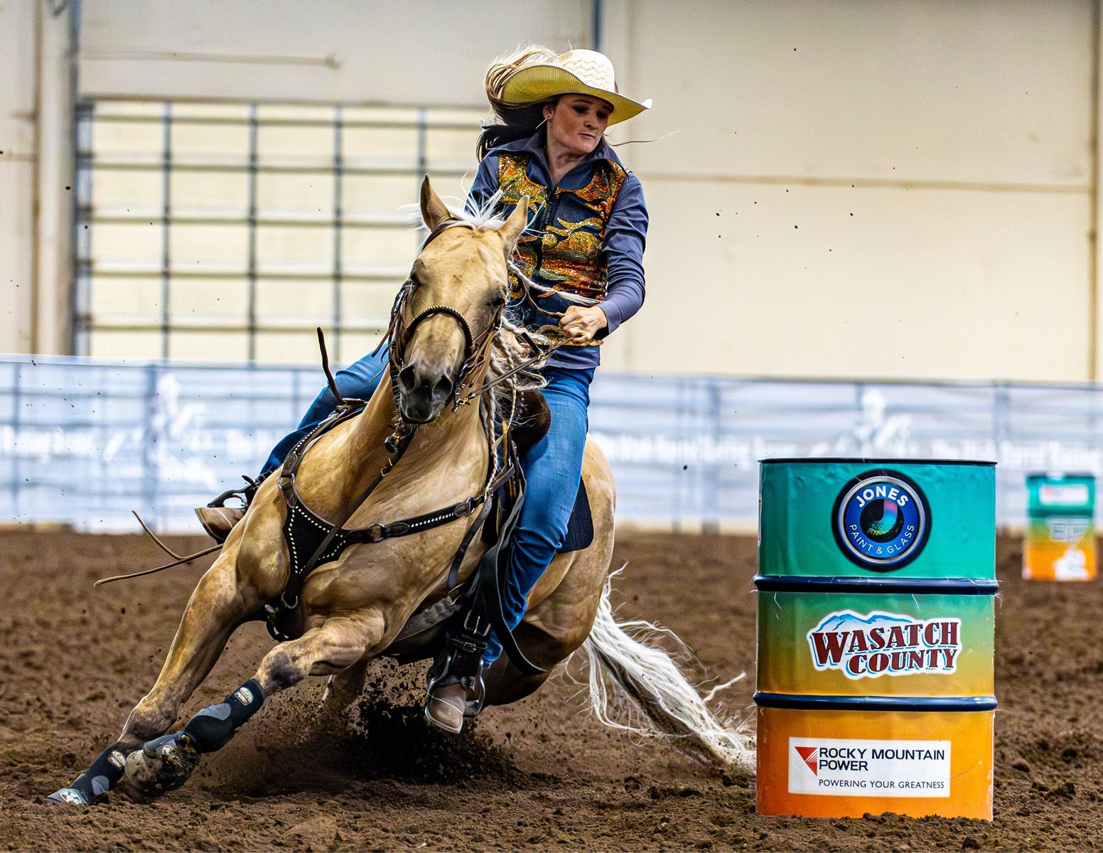2018 Palomino Gelding