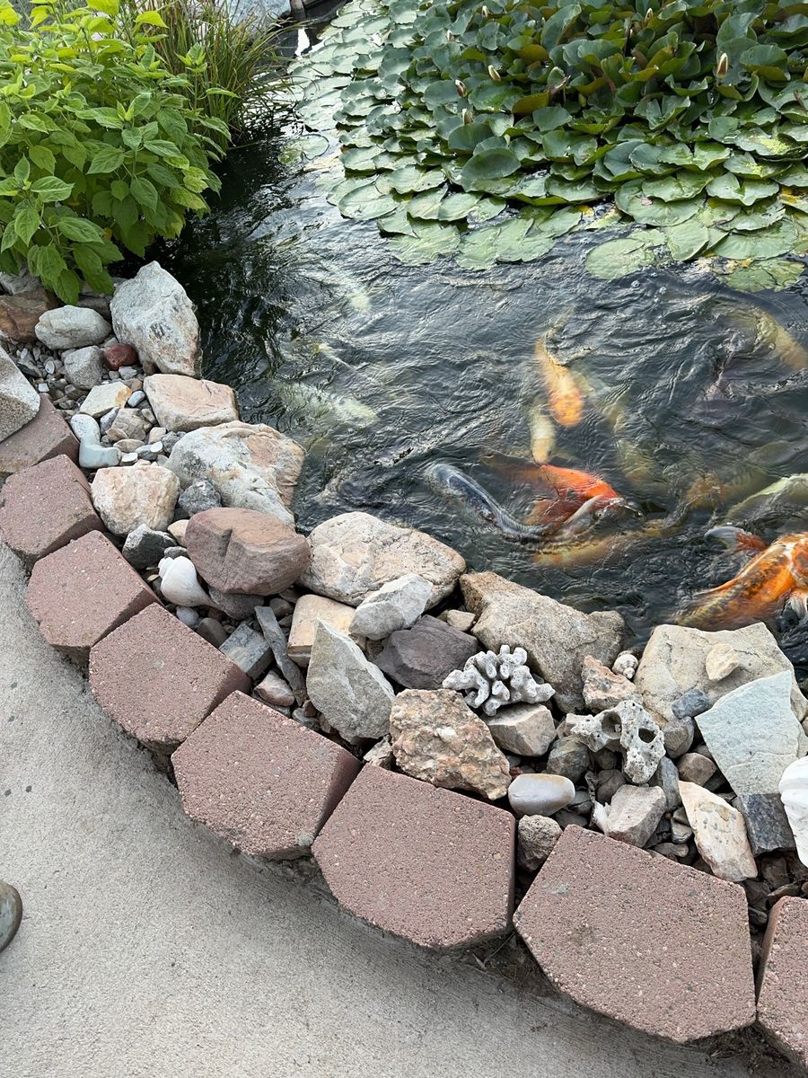 Main image 3