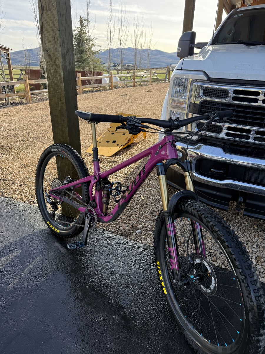 Pivot Shadowcat Small