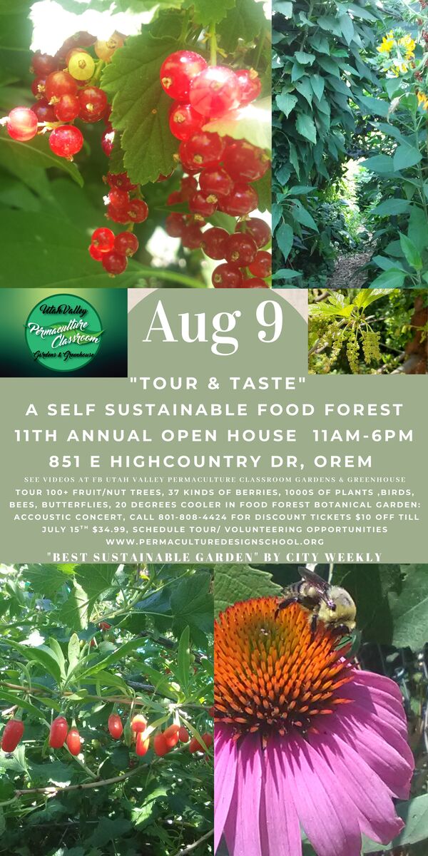 11th Annual Tour & Taste in a Food Forest of 105 Fruit/Nut, 37 kinds of Berries, Cooler, Little Water, No weeds Garden of Eden