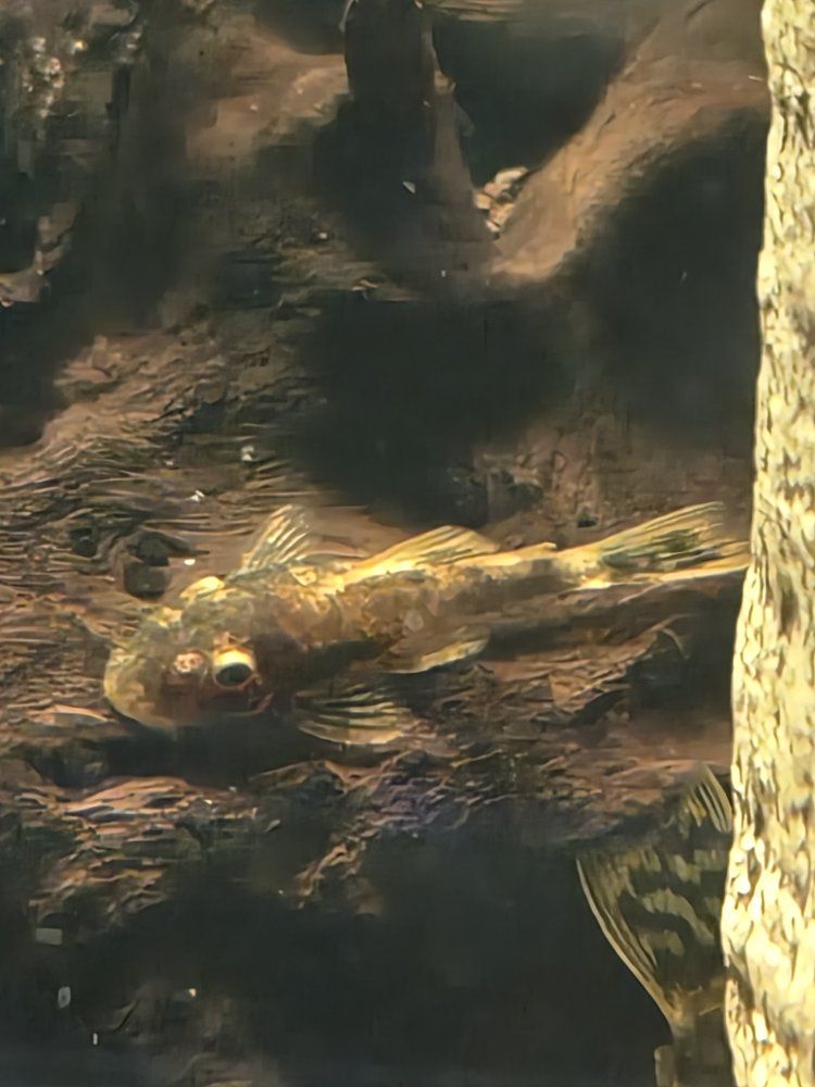 Main image 2