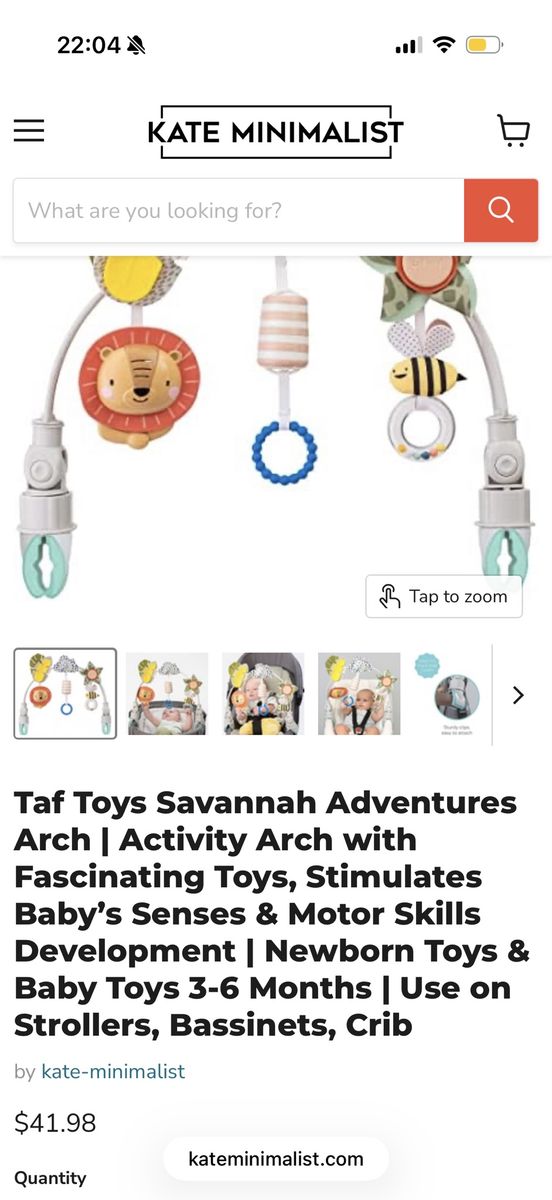 Baby Activity Arch - Like New