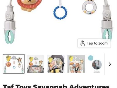 Baby Activity Arch - Like New