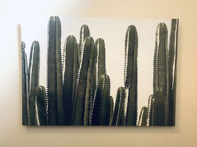 New 36" X 26" Cactus Glossy Photograph Wall Art