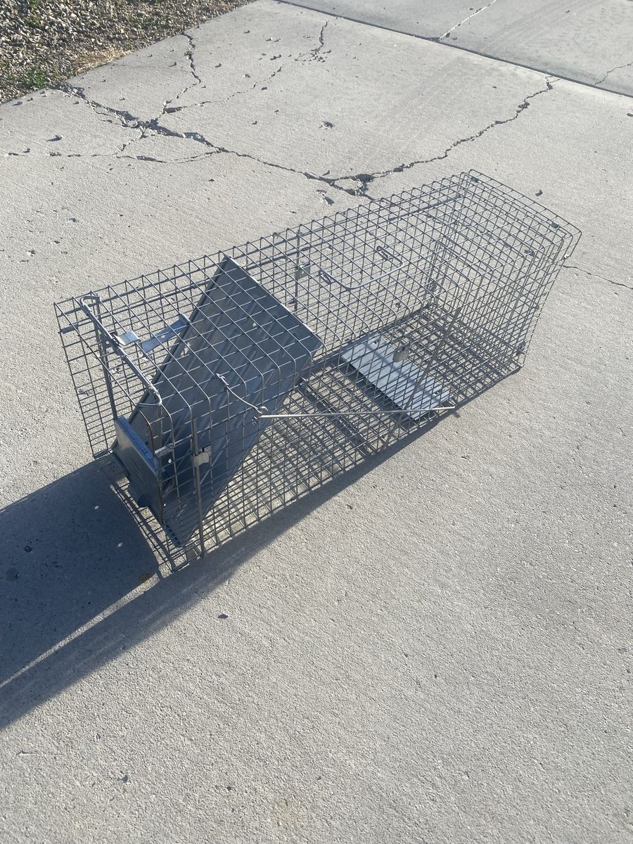 Animal Trap