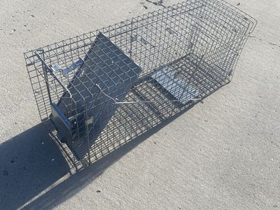 Animal Trap