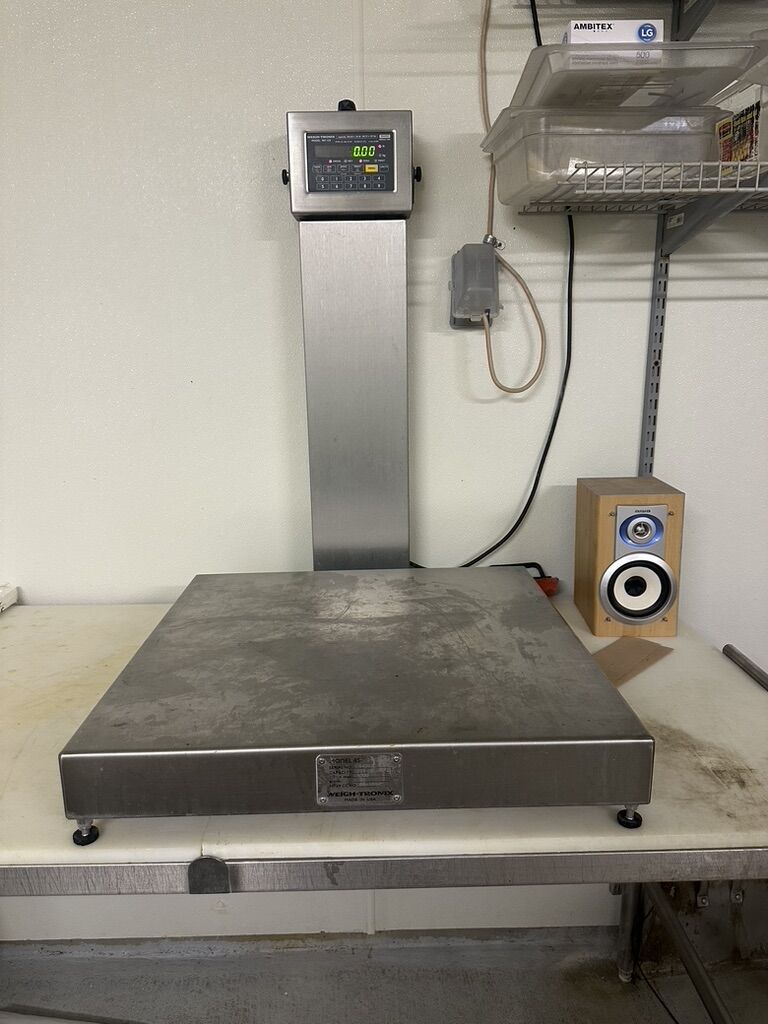 Commercial scale, 200 lb capacity