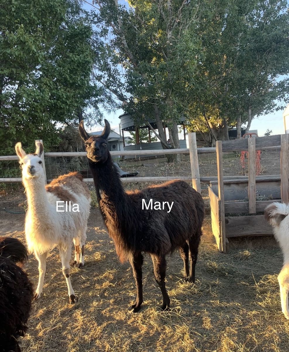Main image 6