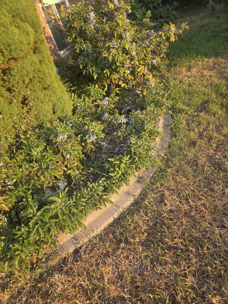 Main image 4