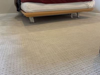 Low Modern Plat Form Queen Bed