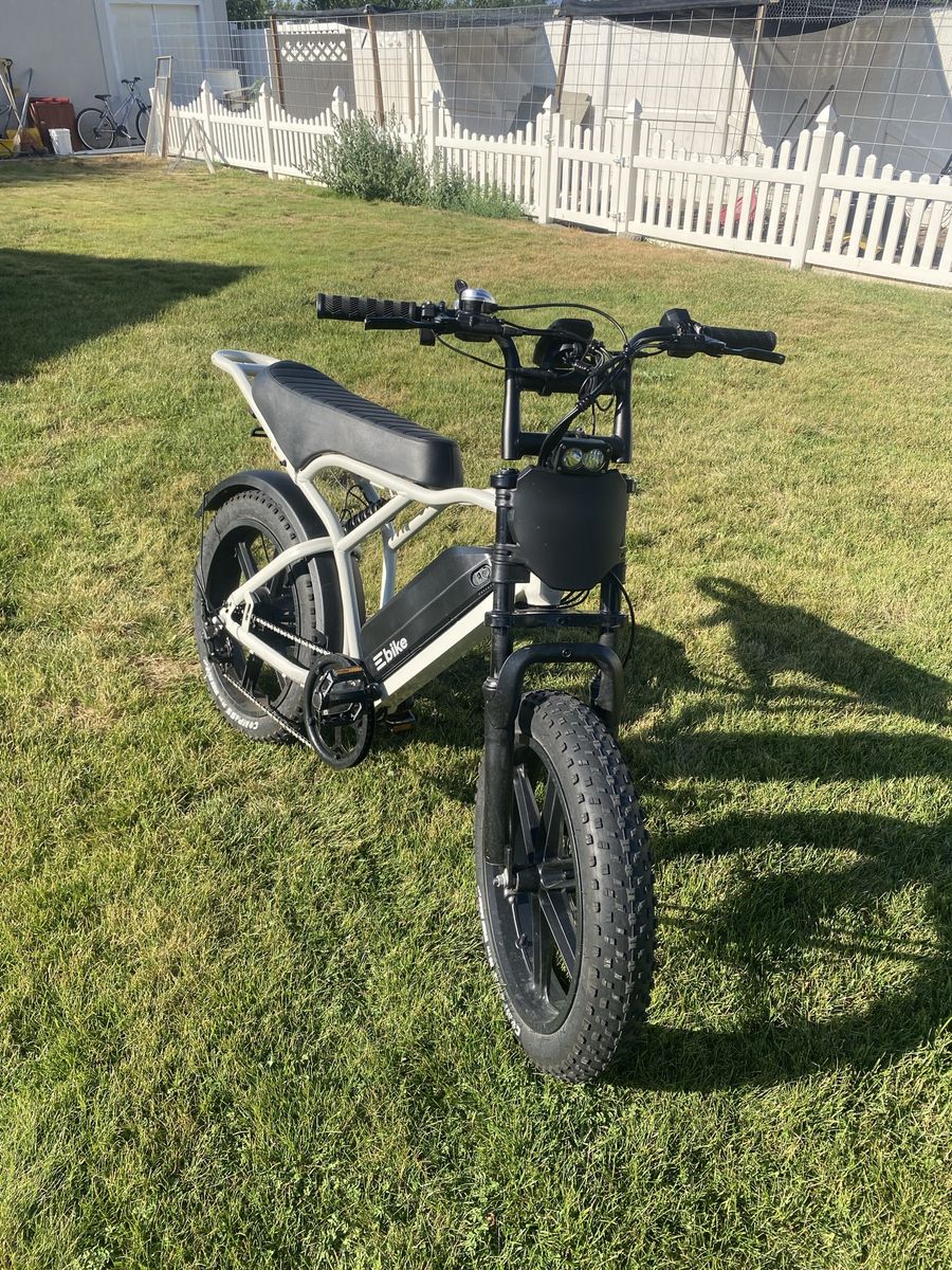 TST R002 White Version Hydraulic Brakes E-Bike