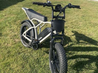 TST R002 White Version Hydraulic Brakes E-Bike