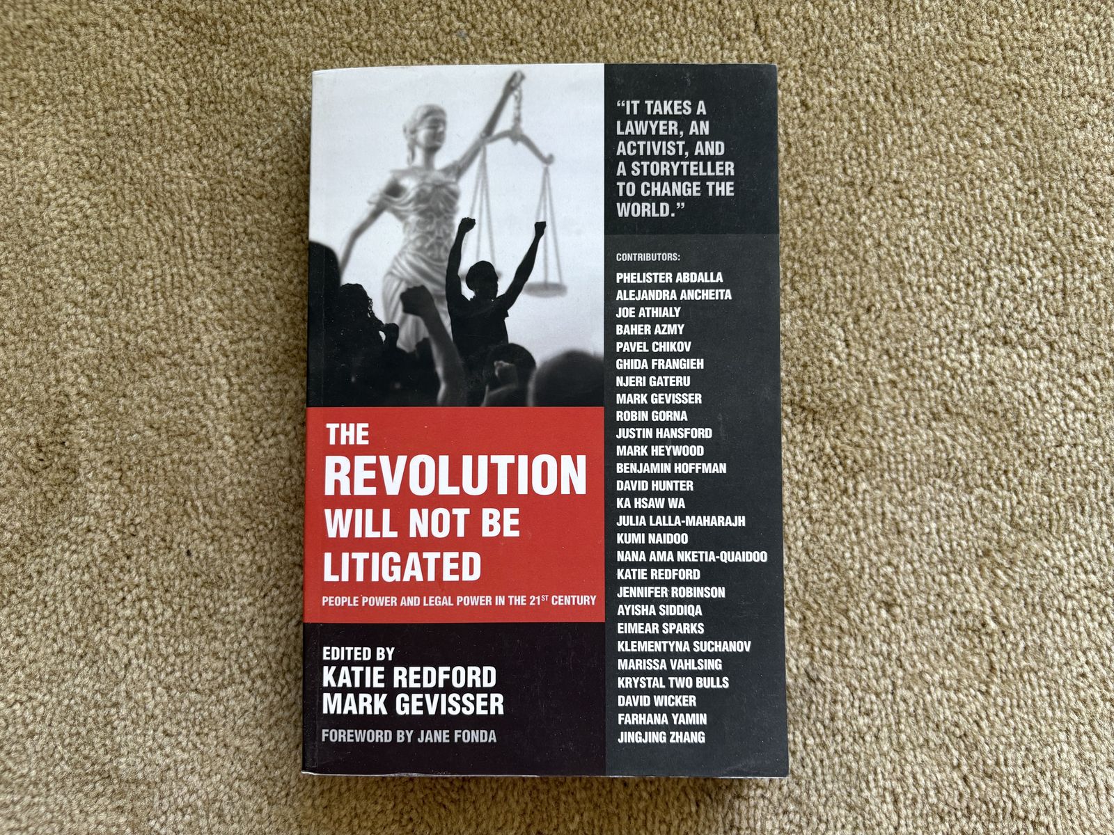 The Revolution Will Not Be Litigated, Katie Redford and Mark Gevisser, eds.